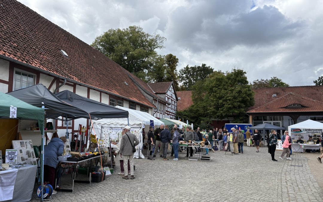 Drömlingsfest 2025 – Ein Fest der Vielfalt, Begegnung und regionalen Stärke